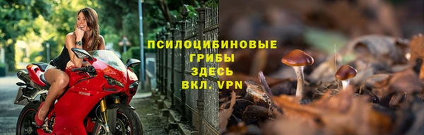 экстази Краснослободск