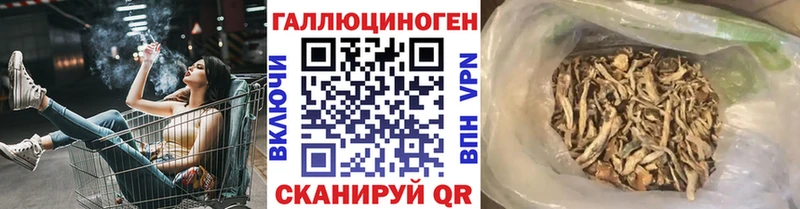 Галлюциногенные грибы MAGIC MUSHROOMS  Купить закладки  Вятские Поляны 