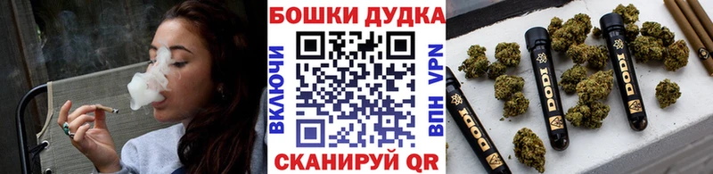 Купить закладки  Вятские Поляны  Шишки марихуана гибрид 